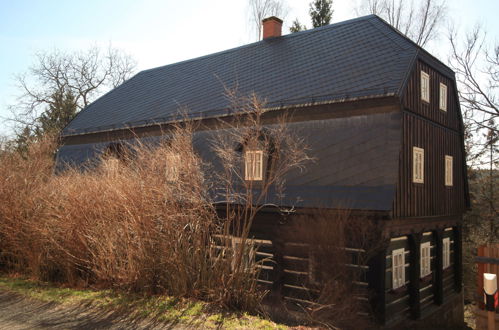 Foto 38 - Haus mit 5 Schlafzimmern in Hřensko mit garten und terrasse