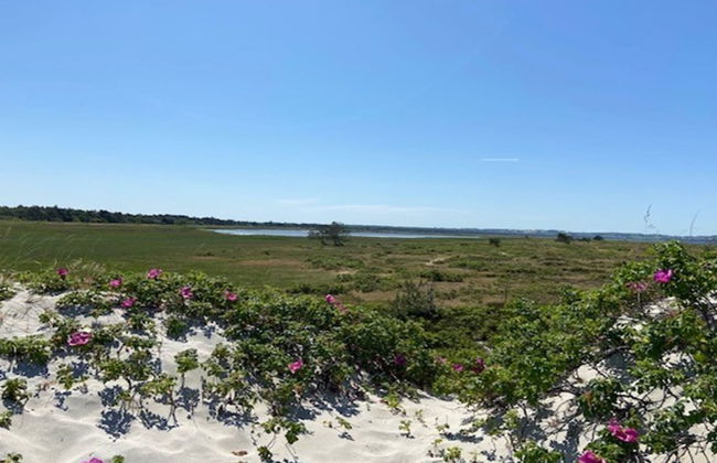 Casa de 4 quartos em Højby com terraço e sauna - Foto 19