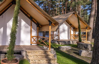 Photo 2 - Maison de 2 chambres à Zutendaal avec piscine et terrasse