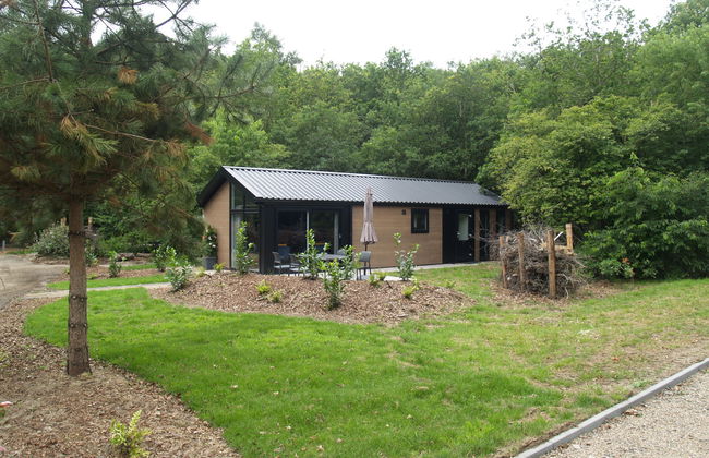 Casa de 3 quartos em Ruinen com piscina e terraço - Foto 8