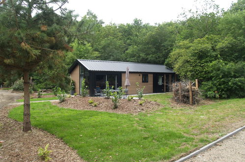 Photo 8 - Maison de 2 chambres à Ruinen avec piscine et terrasse