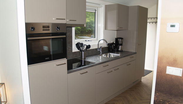 Maison de 3 chambres à Ruinen avec piscine et terrasse - Photo 4