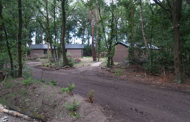 Casa de 3 quartos em Ruinen com piscina e terraço - Foto 11