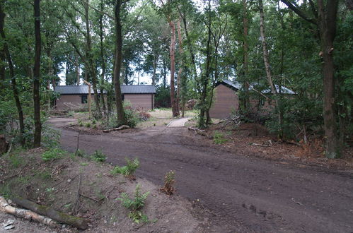 Foto 11 - Casa de 2 quartos em Ruinen com piscina e terraço