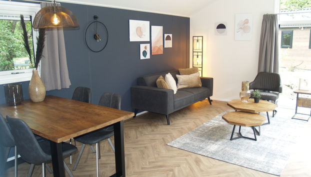 Maison de 3 chambres à Ruinen avec piscine et terrasse - Photo 3
