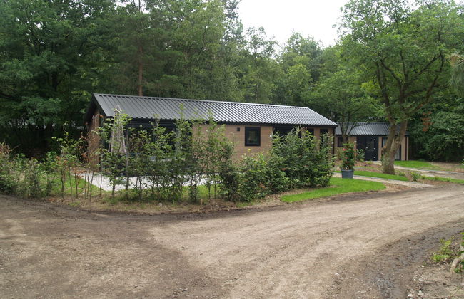 Casa de 3 quartos em Ruinen com piscina e terraço - Foto 9