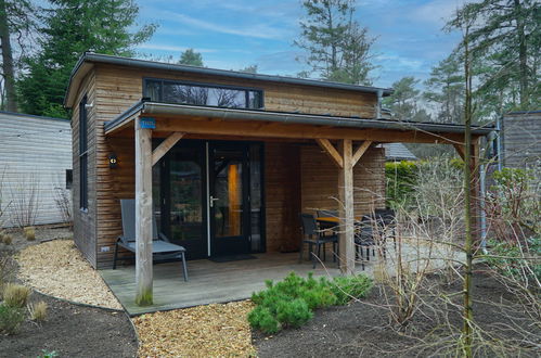 Photo 7 - Maison de 2 chambres à Beekbergen avec piscine et jardin