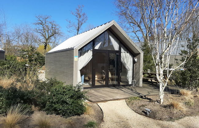 Casa con 2 camere da letto a Hulshorst con piscina e terrazza - Foto 1