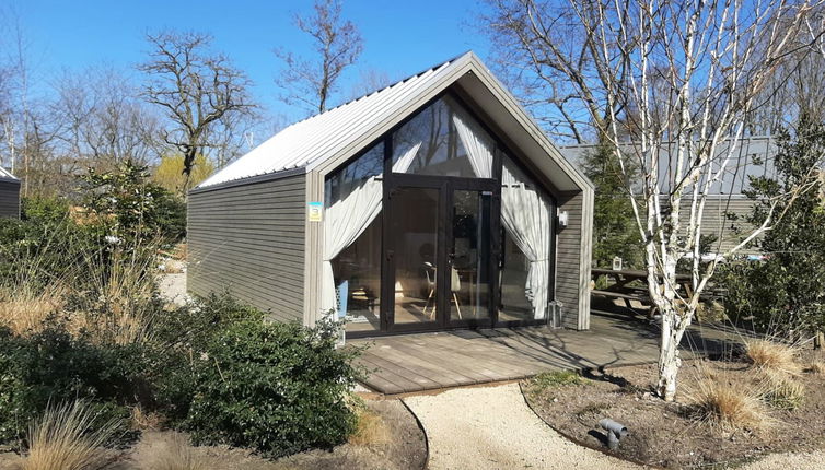 Photo 1 - Maison de 1 chambre à Hulshorst avec piscine et terrasse