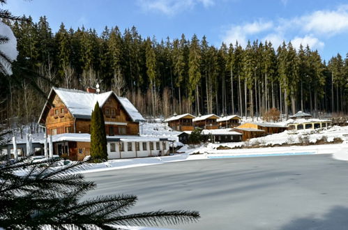 Foto 50 - Haus mit 1 Schlafzimmer in Mladé Buky mit schwimmbad und garten