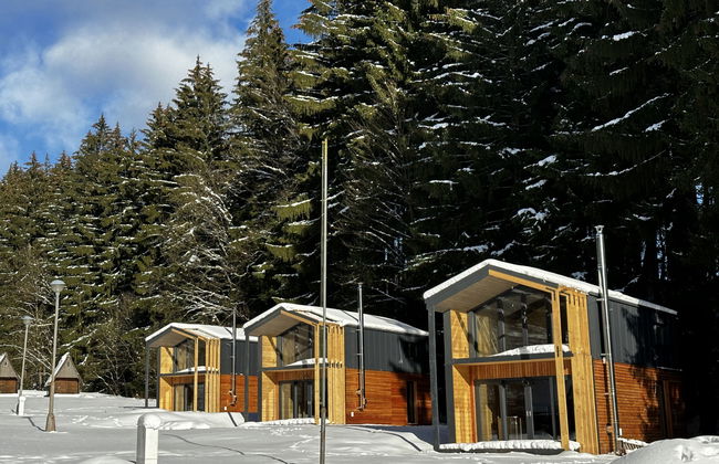 Casa de 2 quartos em Mladé Buky com piscina e jardim - Foto 49