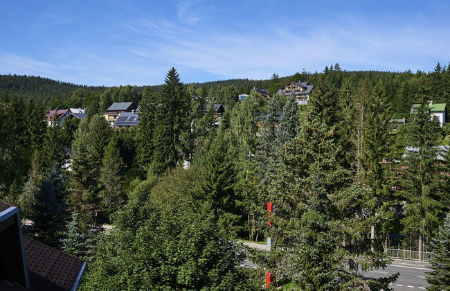 Apartamento de 3 quartos em Harrachov com jardim - Foto 6
