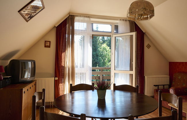 Apartamento de 3 quartos em Harrachov com jardim - Foto 12