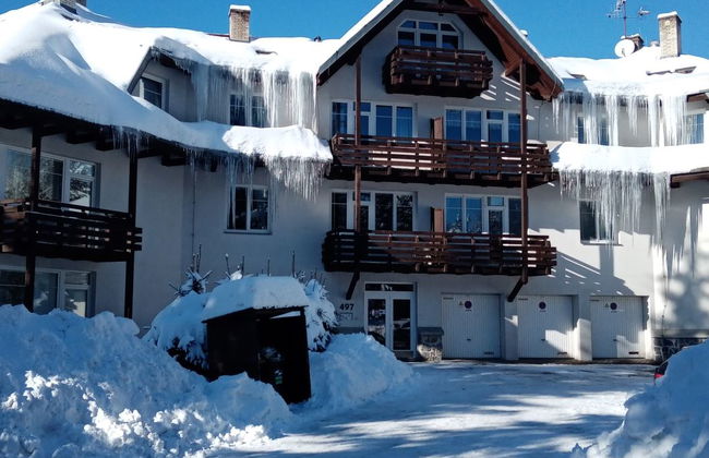 Apartamento de 3 quartos em Harrachov com jardim - Foto 22