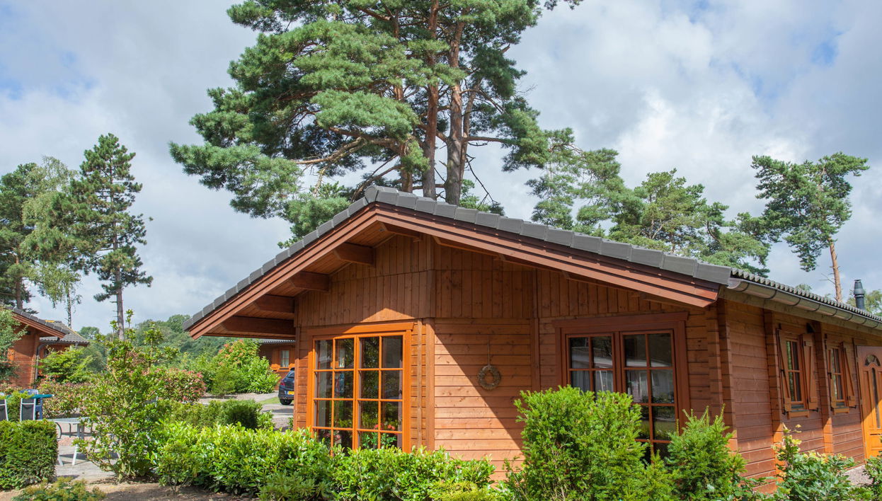 Haus mit 4 Schlafzimmern in Lochem mit schwimmbad und terrasse - Foto 1