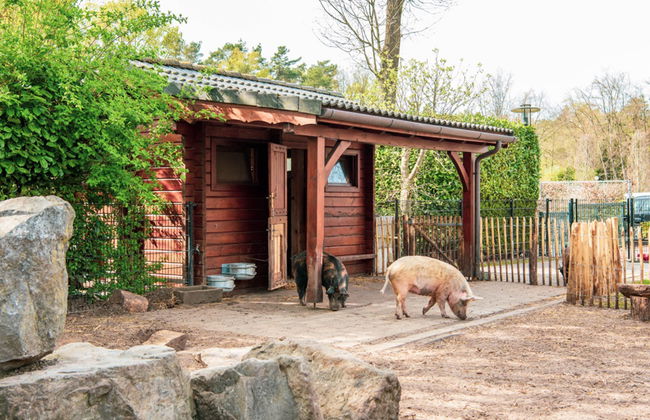 Casa de 5 quartos em Lochem com piscina e terraço - Foto 26