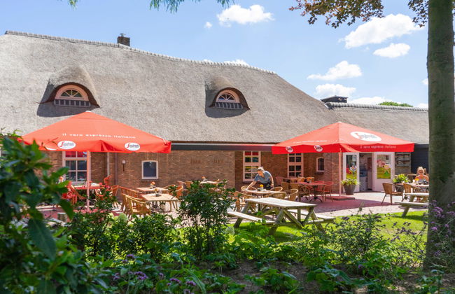 Maison de 4 chambres à Kaatsheuvel avec piscine et terrasse - Photo 12