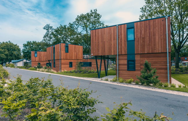 Maison de 4 chambres à Kaatsheuvel avec piscine et terrasse - Photo 3