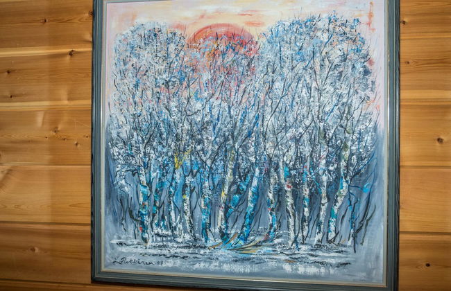 Haus mit 4 Schlafzimmern in Inari - Foto 19