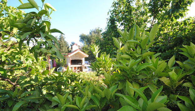 Perkovic Ana - Photo 5