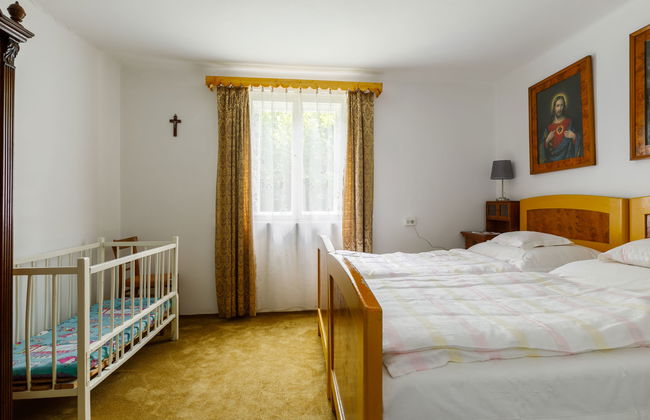 Casa de 3 quartos em Balatonfenyves com jardim e terraço - Foto 8