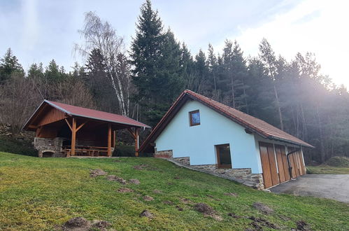 Photo 35 - Maison de 2 chambres à Nebahovy avec terrasse et sauna