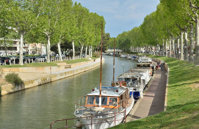 Casa de 4 quartos em Narbonne com piscina privada e jardim - Foto 26