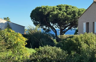 Photo 1 - Apartment in Sainte-Maxime with swimming pool and garden