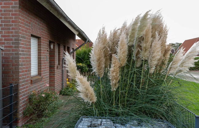 Maison de 3 chambres à Dornum avec jardin et terrasse - Photo 36