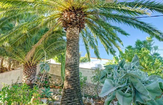 Maison de 4 chambres à Dénia avec piscine privée et jardin - Photo 33
