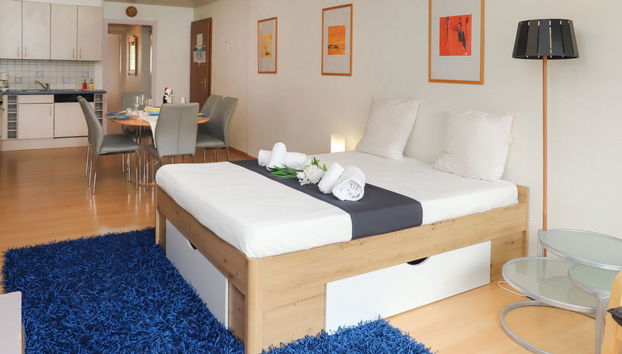 Apartment mit 2 Schlafzimmern in Nendaz - Foto 3