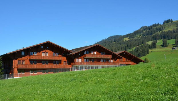 Apartamento de 2 quartos em Saanen - Foto 3