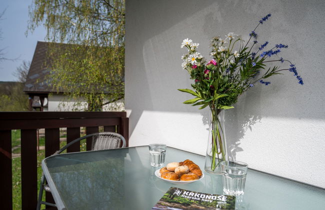 Casa de 3 quartos em Černý Důl com piscina e jardim - Foto 22