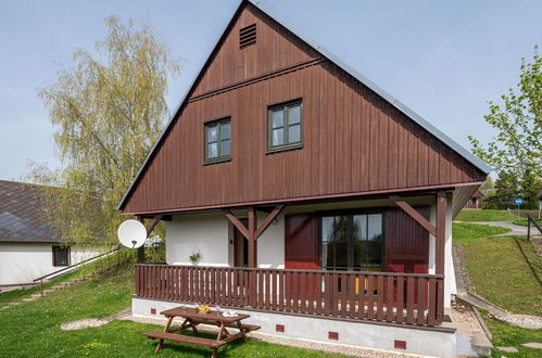 Foto 25 - Casa con 3 camere da letto a Černý Důl con piscina e giardino