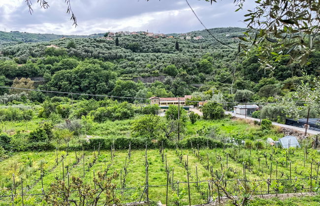 Apartamento de 2 quartos em Dolcedo com jardim e terraço - Foto 6
