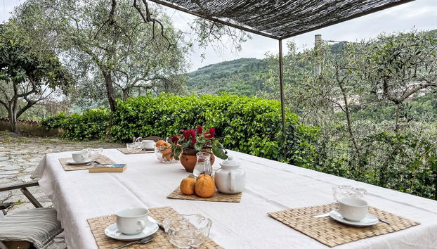 Apartment mit 2 Schlafzimmern in Dolcedo mit garten und terrasse - Foto 4