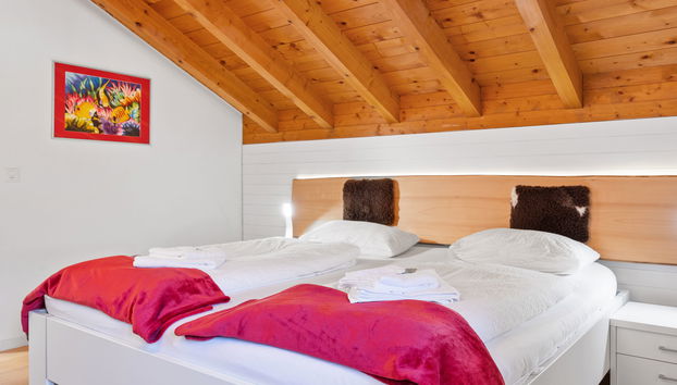 Appartement de 3 chambres à Ernen avec jardin et sauna - Photo 4