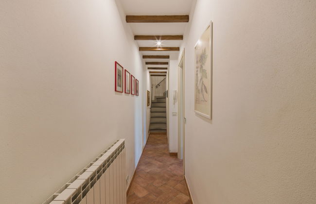 Casa de 3 quartos em Massarosa com jardim e terraço - Foto 19