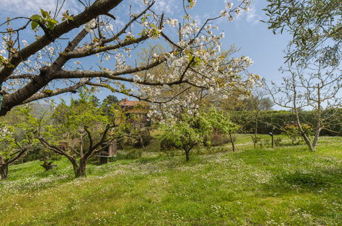 Photo 44 - 2 bedroom House in Massarosa with garden and terrace
