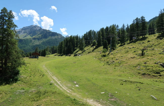 Apartamento de 4 quartos em Nendaz com jardim - Foto 23