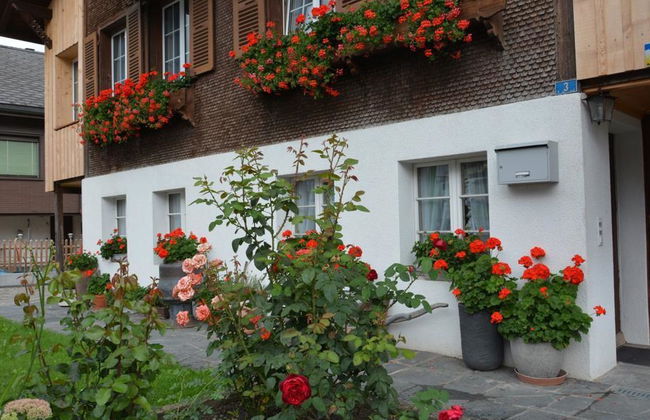 Apartamento de 1 quarto em Zweisimmen - Foto 6