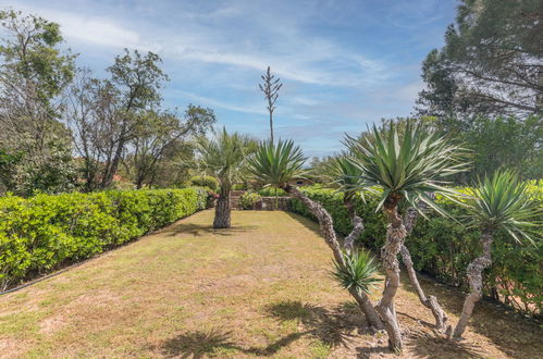 Photo 25 - 2 bedroom House in Olbia with garden and sea view