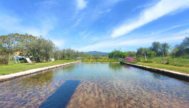Haus mit 2 Schlafzimmern in Roccastrada mit schwimmbad und garten - Foto 4