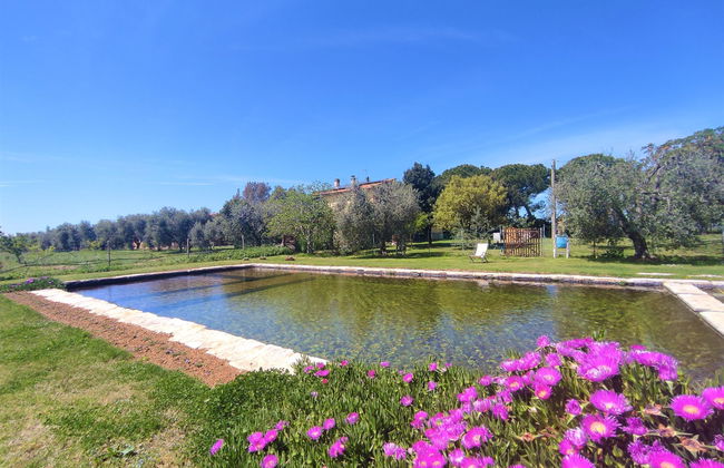 Casa de 2 quartos em Roccastrada com piscina e jardim - Foto 3