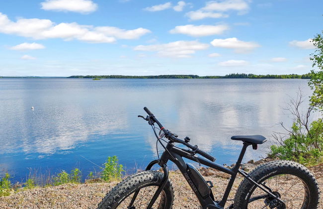 Haus mit 1 Schlafzimmer in Pudasjärvi mit sauna - Foto 32