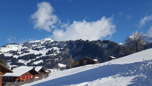 Apartment mit 3 Schlafzimmern in Zweisimmen - Foto 4
