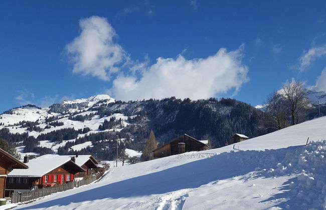 Apartamento de 3 quartos em Zweisimmen - Foto 4
