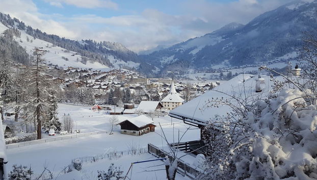 Apartment mit 3 Schlafzimmern in Zweisimmen - Foto 3