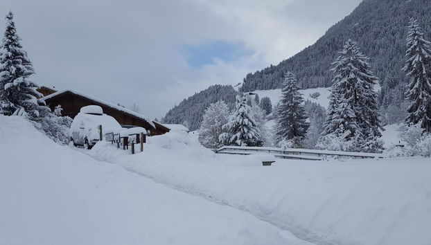 Apartment mit 3 Schlafzimmern in Zweisimmen - Foto 5