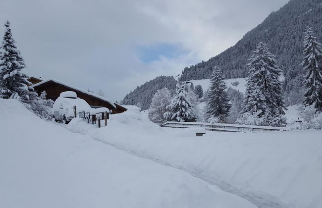 Apartamento de 3 quartos em Zweisimmen - Foto 5